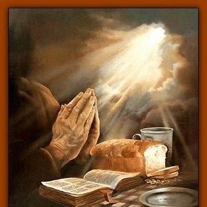 Meet your Posher, Leelynndale